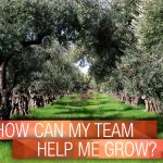 How Can My Team Help Me Grow