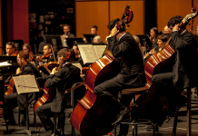 4 Vital Components to Transform Your Team from Ordinary to Extraordinary