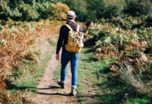 The Surprises of the Prodigal Son