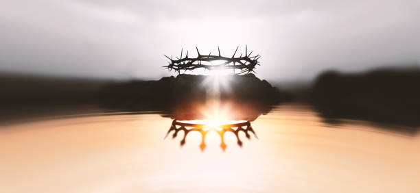 istockphoto-2042159591-612x612