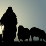 The Report from Bethlehem: a Shepherd Signs In