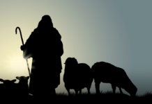 The Report from Bethlehem: a Shepherd Signs In