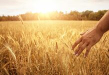 The Hidden Unchurched Harvest