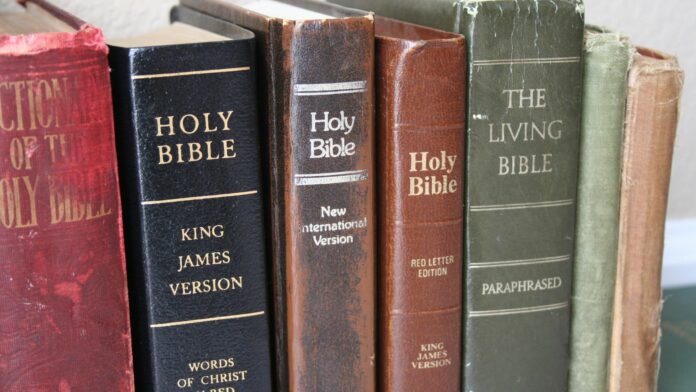 LEAD Blog Photo Download-85