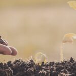 The Most Underestimated Advantage for Church Growth