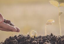 The Most Underestimated Advantage for Church Growth