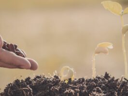 The Most Underestimated Advantage for Church Growth