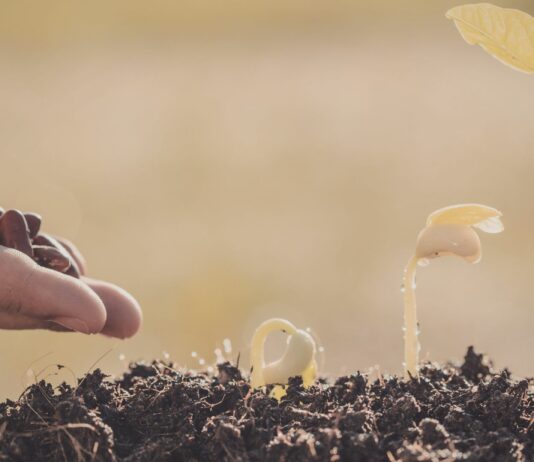 The Most Underestimated Advantage for Church Growth