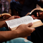 Successful Shepherding by Allen Hickman