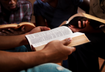 Successful Shepherding by Allen Hickman