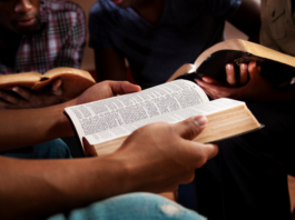 Successful Shepherding by Allen Hickman