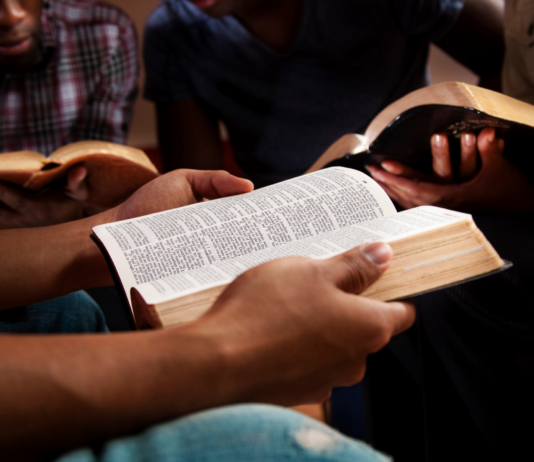 Successful Shepherding by Allen Hickman