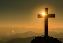 Lots of Reasons to Rejoice, and One Really Big One