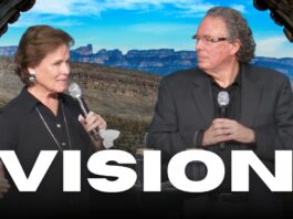 Vision