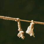 Disunity In the Church and Among Christians Destroys Evangelism