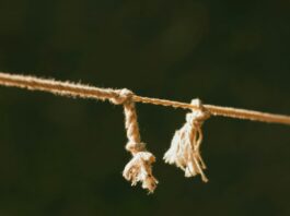 Disunity In the Church and Among Christians Destroys Evangelism
