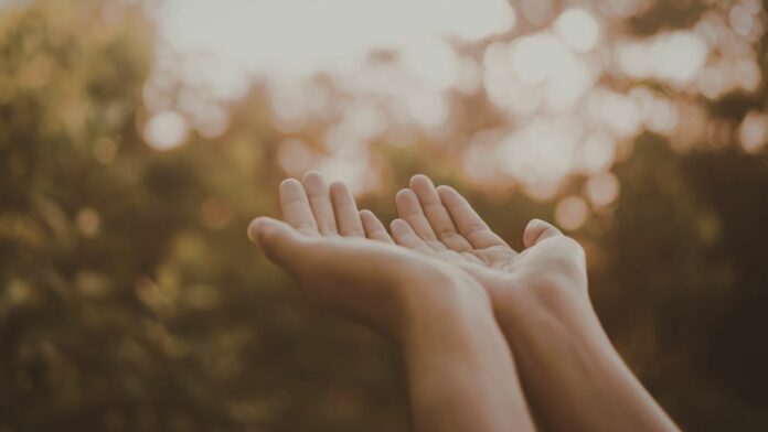LEAD Blog Photo Download-195